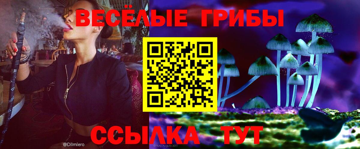 Новороссийск  Псилоцибиновые грибы мухоморы  Галлюциногенные грибы мицелий  Вход с VPN 